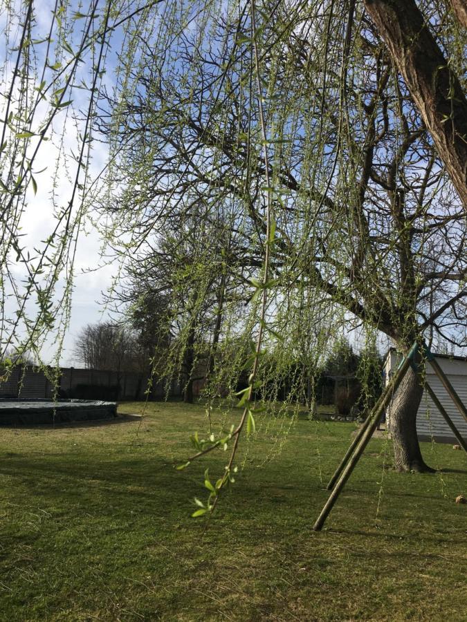B&B Dallo Zio Ottobiano Dış mekan fotoğraf